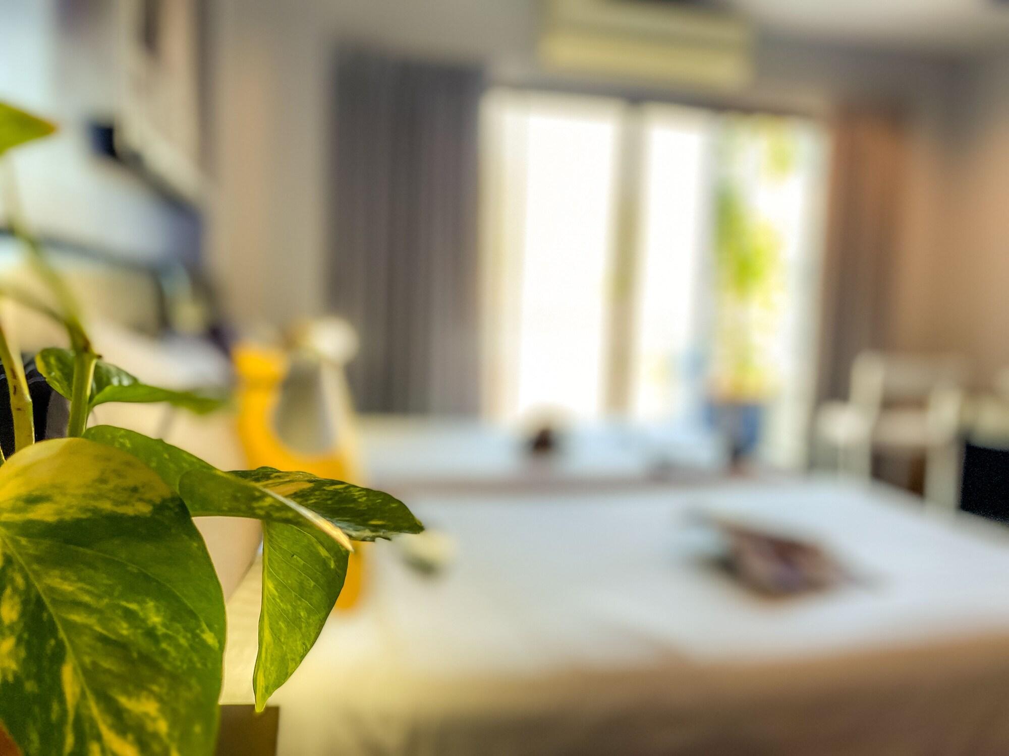 Sino Inn Phuket Hotel - Sha Plus Dış mekan fotoğraf